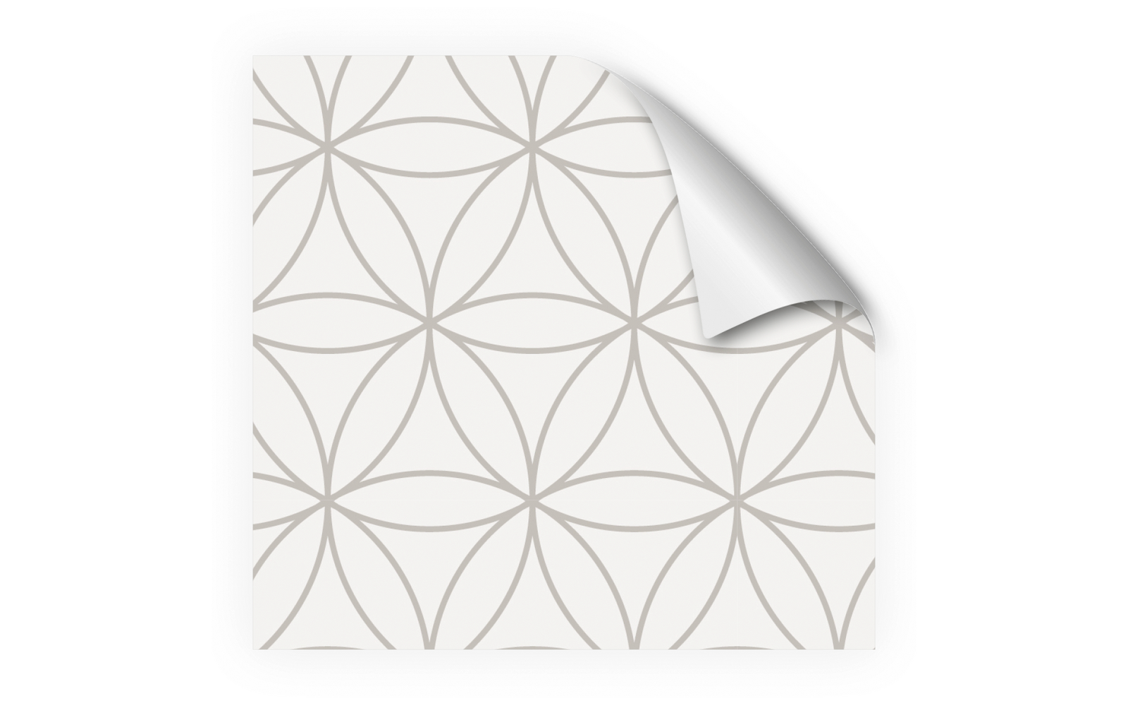  MySpotti Fixy Küchenrückwandfolie / Spritzschutz